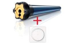 Kit Motore per tapparelle Somfy ALTUS RS IO 50/12 + Interruttore e Placca AMY IO